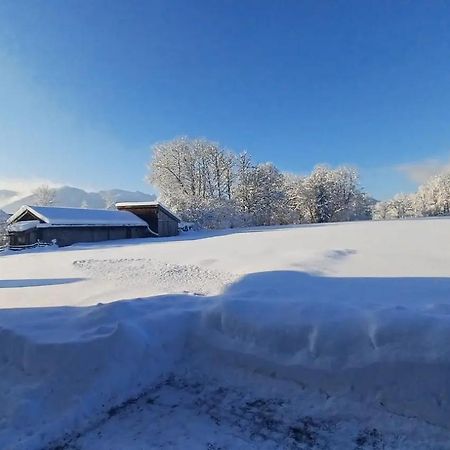 Ferienwohnung Geierstein Wackersberg Екстериор снимка