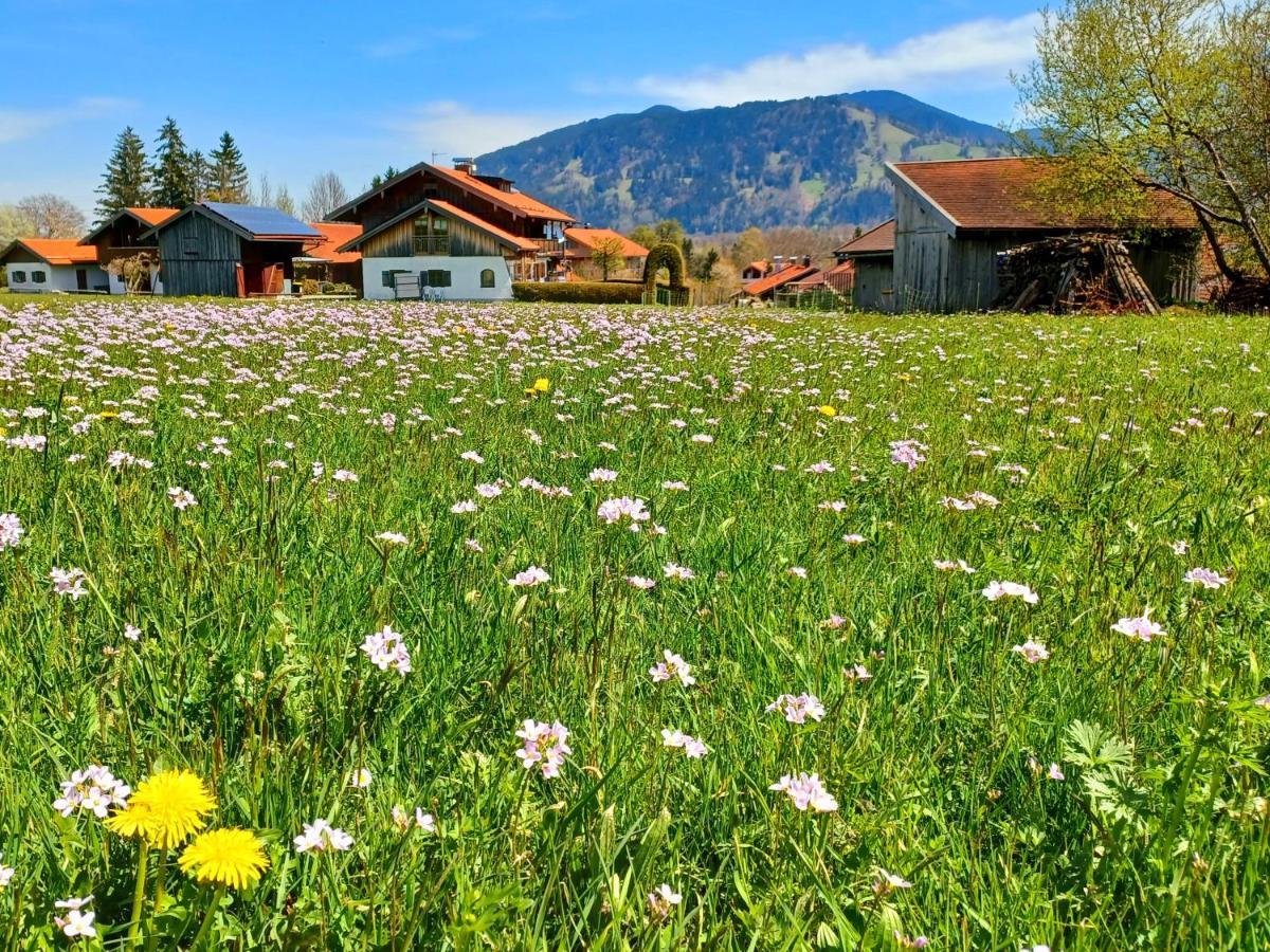 Ferienwohnung Geierstein Wackersberg Екстериор снимка